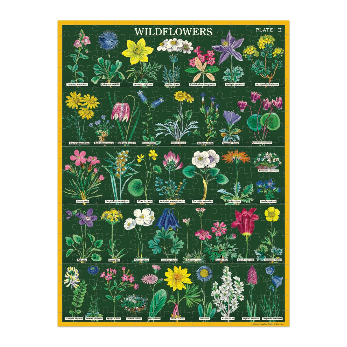 Puzle “Wildflowers” 🌷 240 piezas (27x35 cm)
