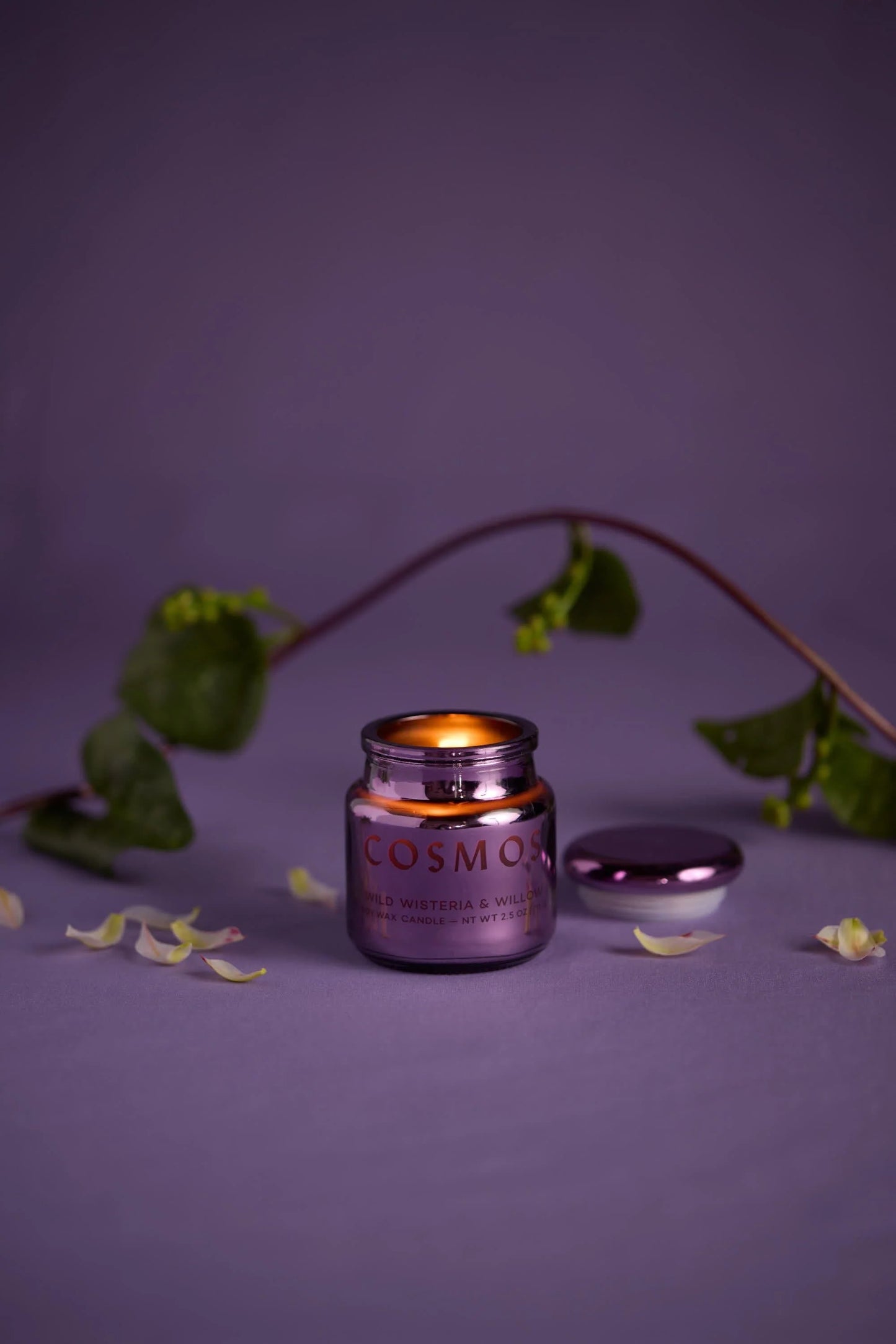 Vela perfumada “Chroma” - Wisteria & Willow 💜