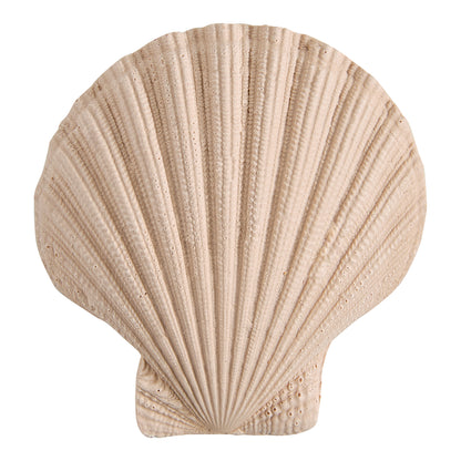 Bolsita con perfume de ambiente y escayolas perfumadas “Perle de Coco”