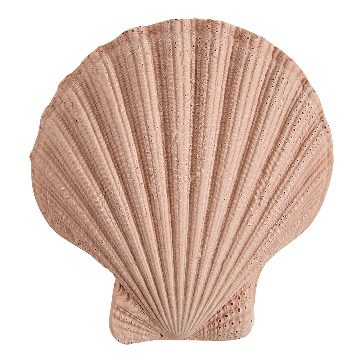 Bolsita con perfume de ambiente y escayolas perfumadas “Néroli Paradis”