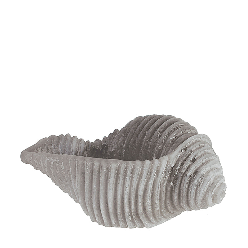 Vela decorativa Caracola Marina 🐚