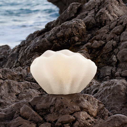 Vela decorativa Concha 🌊