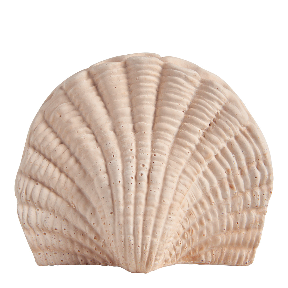 Set de escayola perfumada + esencia “Perle de Coco”