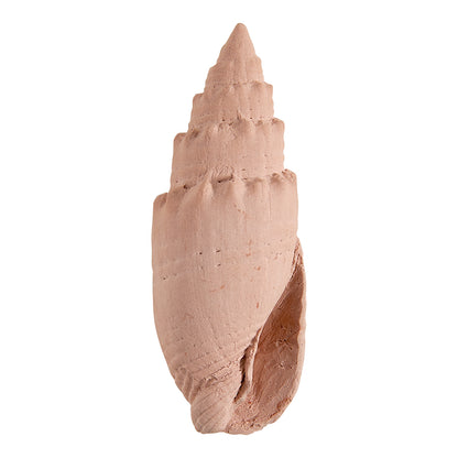 Bolsita con perfume de ambiente y escayolas perfumadas “Néroli Paradis”