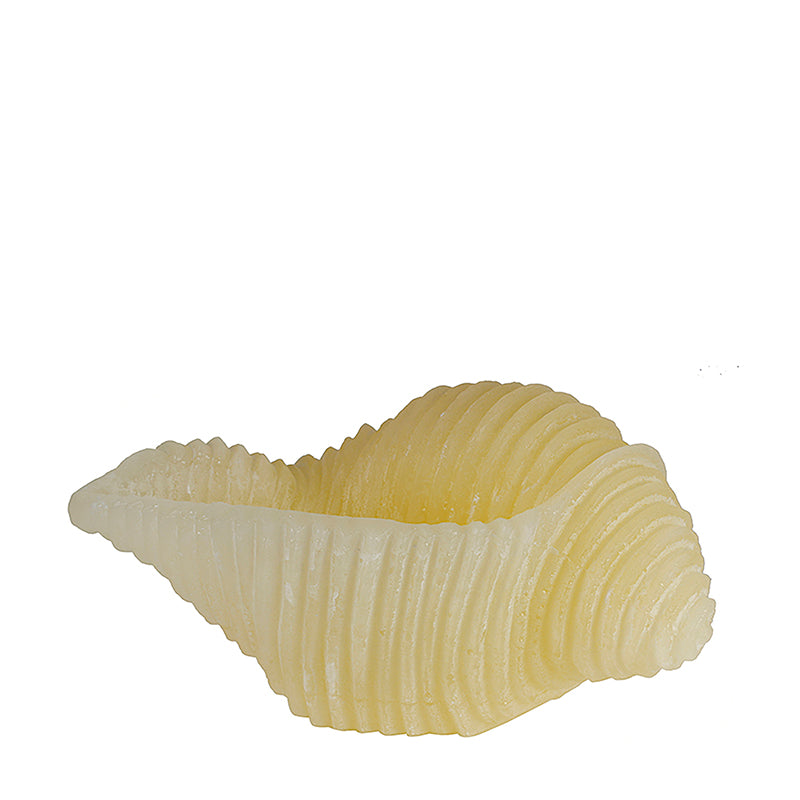 Vela decorativa Caracola Marina 🐚