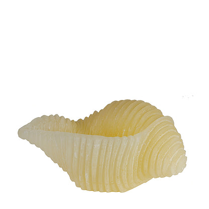 Vela decorativa Caracola Marina 🐚