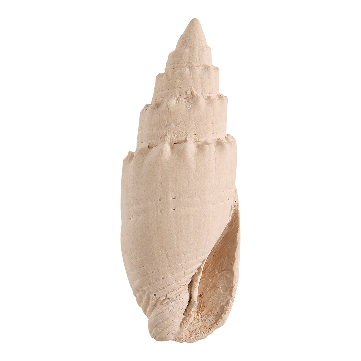 Bolsita con perfume de ambiente y escayolas perfumadas “Perle de Coco”