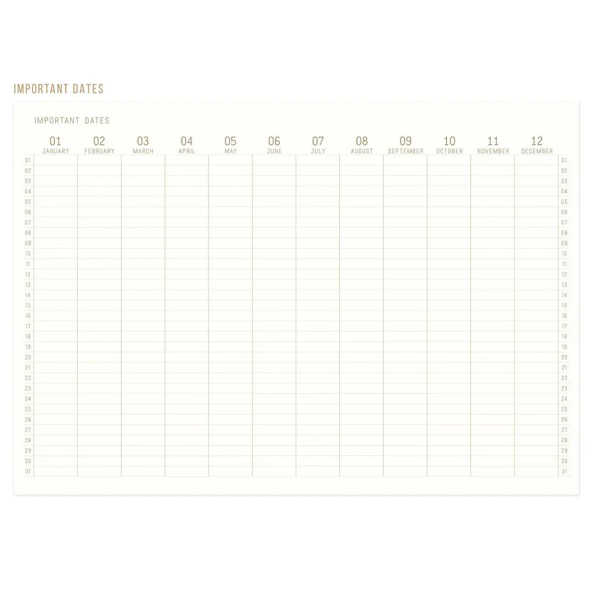 Cuaderno “Live By The Sun” 🌞