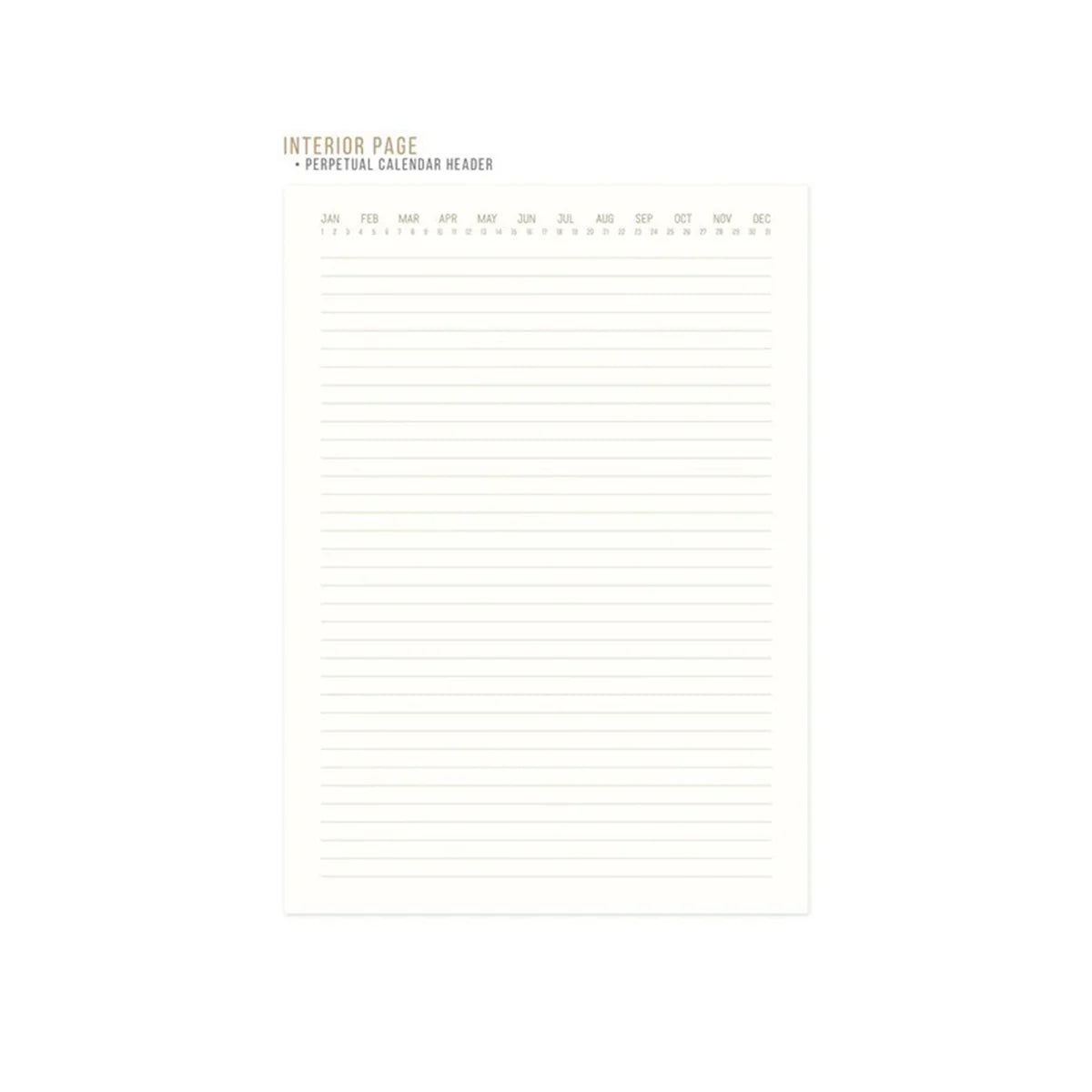 Cuaderno “Live By The Sun” 🌞