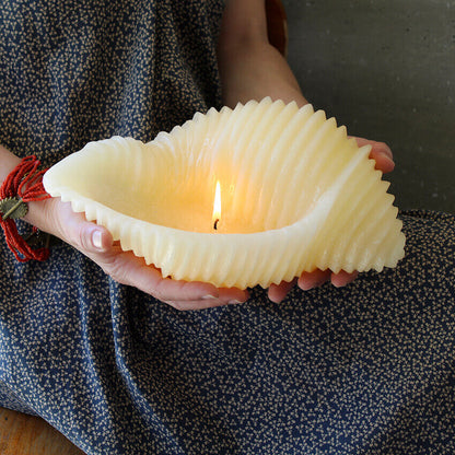 Vela decorativa Caracola Marina 🐚